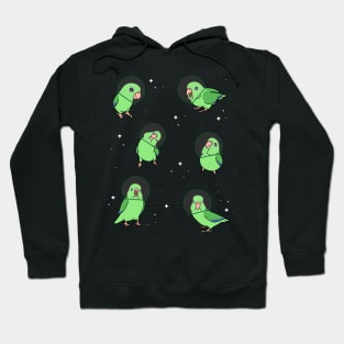 Space Birbs Green Parrotlet Hoodie